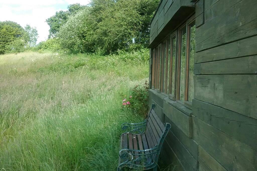 Stags View,Unique Eco Cabin, Dartmoor Views South Brent Eksteriør bilde