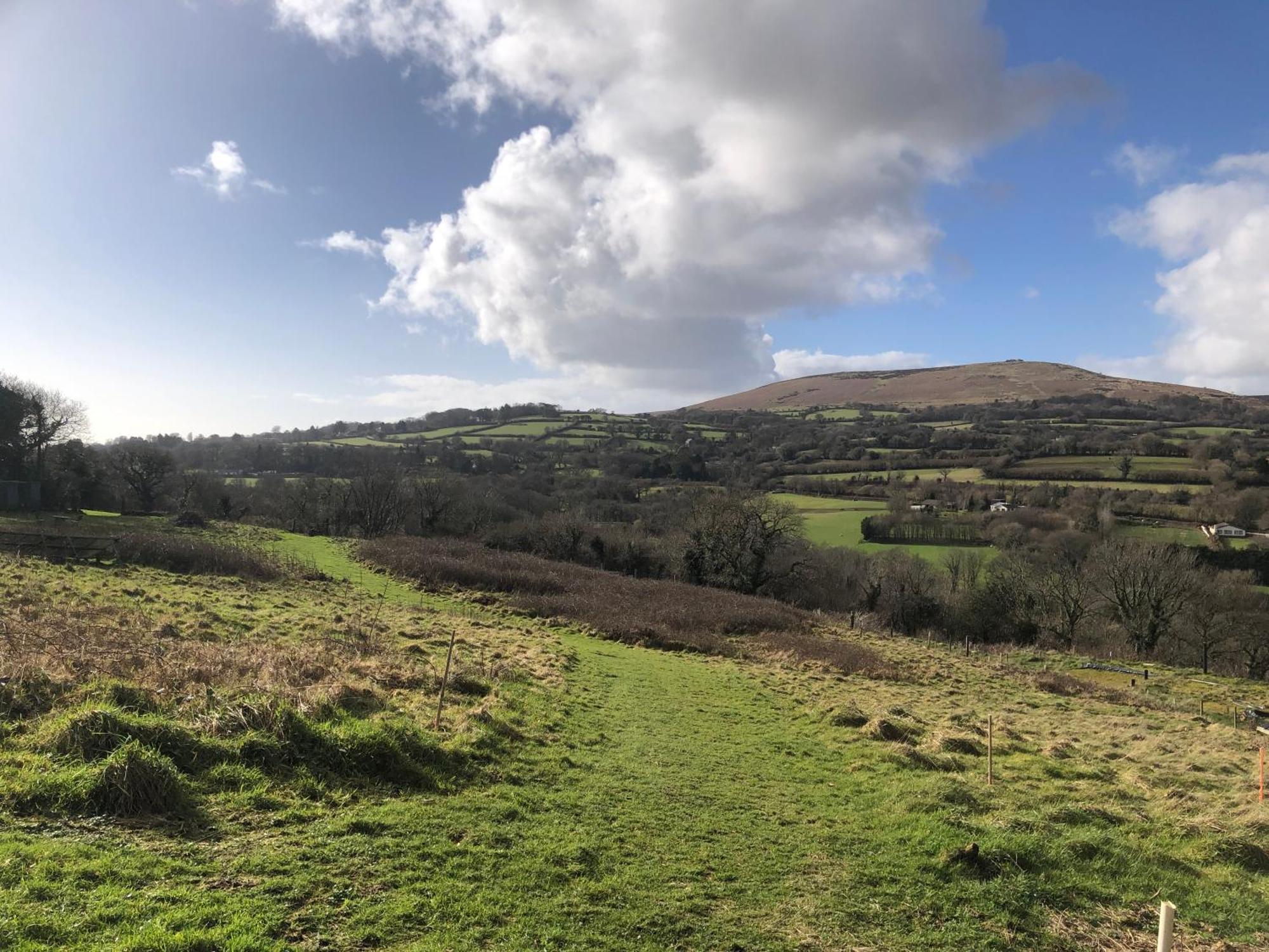 Stags View,Unique Eco Cabin, Dartmoor Views South Brent Eksteriør bilde